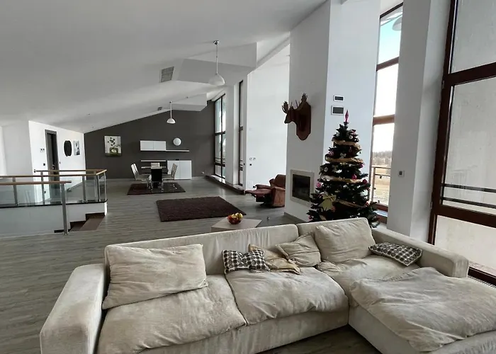 Ted Penthouse Silver Mountain