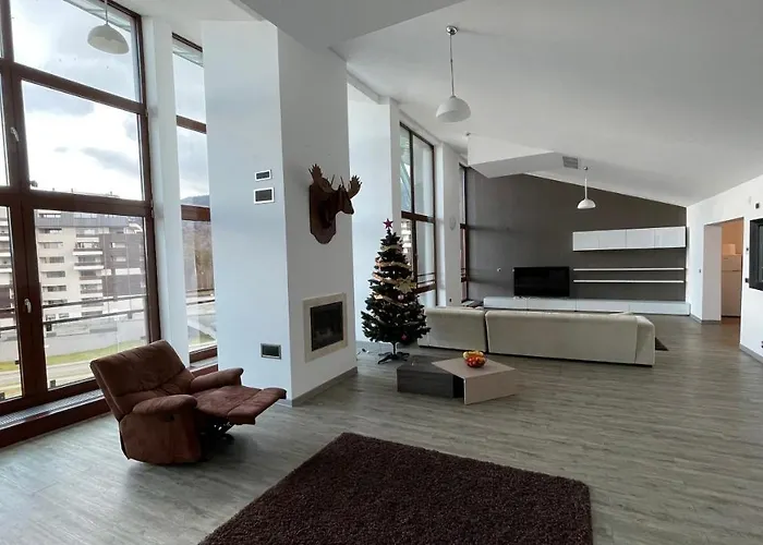 Ted Penthouse Silver Mountain